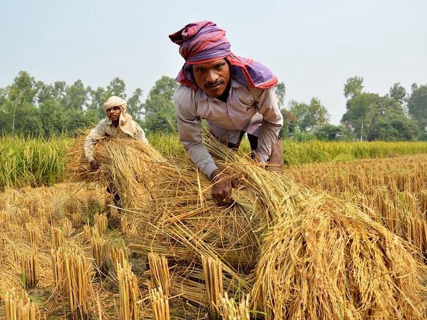 UP government to enlist 11 million ranchers under PM Kisan conspire